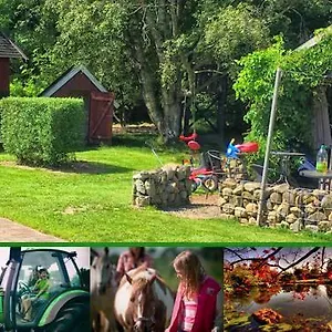 Stutteri Skandihest Séjour à la ferme